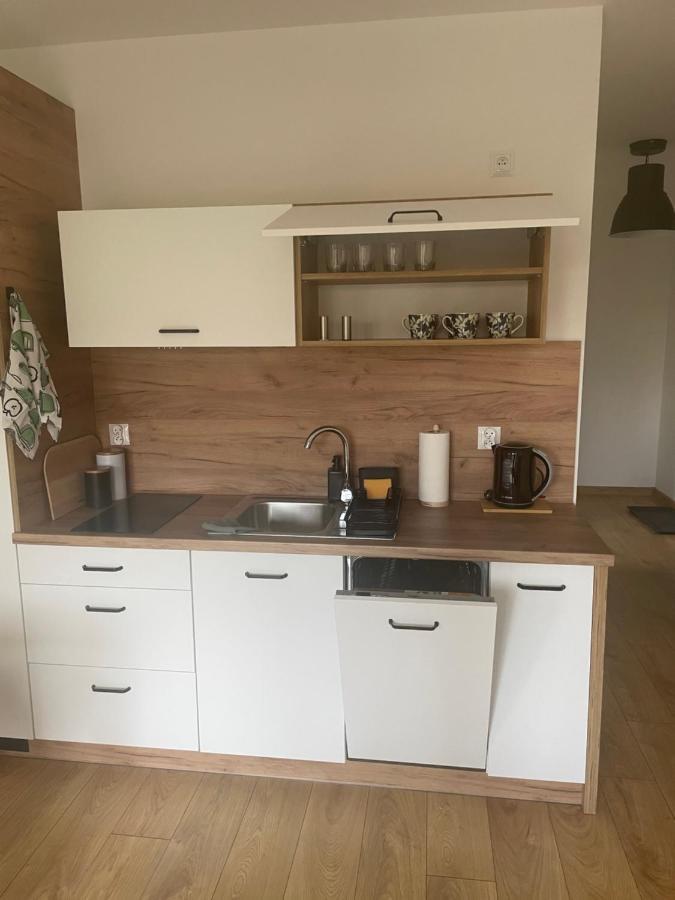 Apartament Kuba Na Spokojnej Wisła Dış mekan fotoğraf